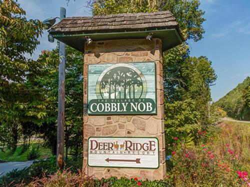Fox Den Villa Gatlinburg Bagian luar foto